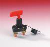Battery Master Switch